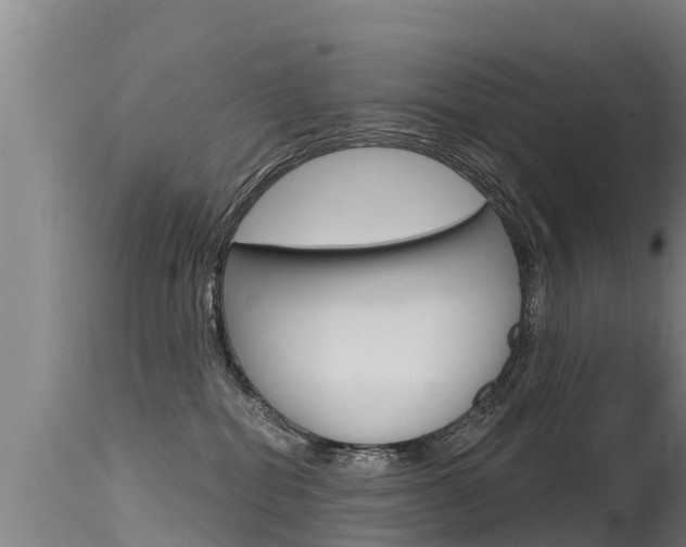 X0000115770282200911131028