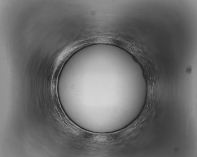 X0000115770294200911131027