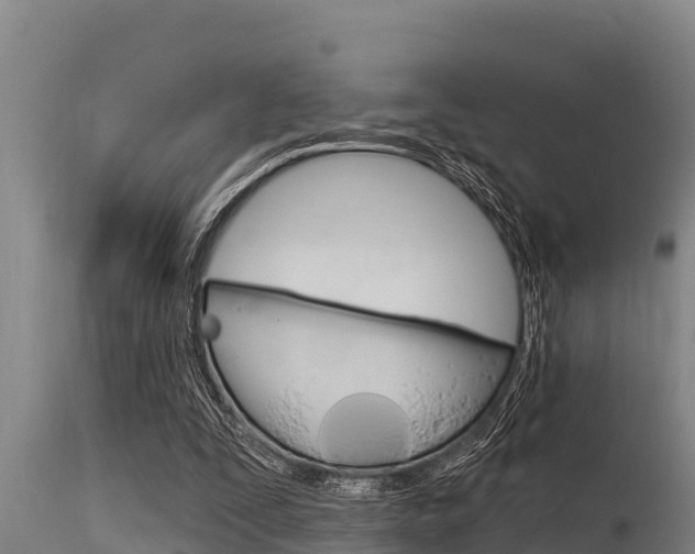 X0000115770295200911131027