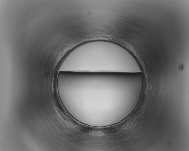 X0000115770299200911131027