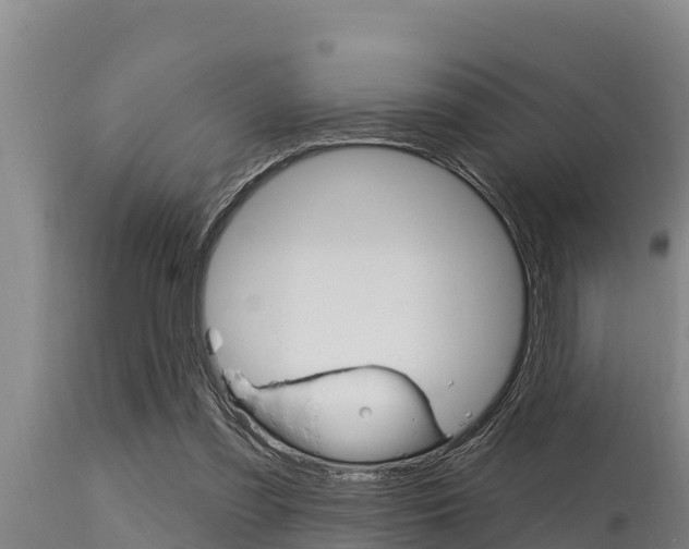 X0000115770301200911131027