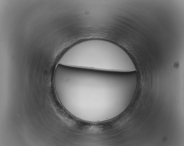 X0000115770303200911131027