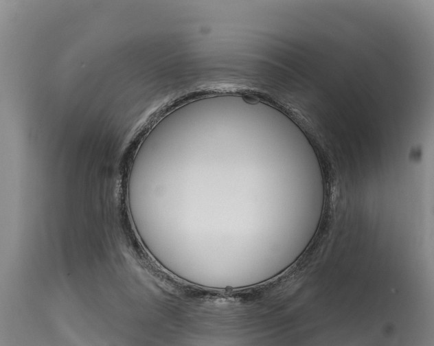 X0000115770304200911131027