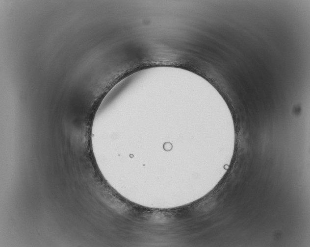 X0000115770305200911131027