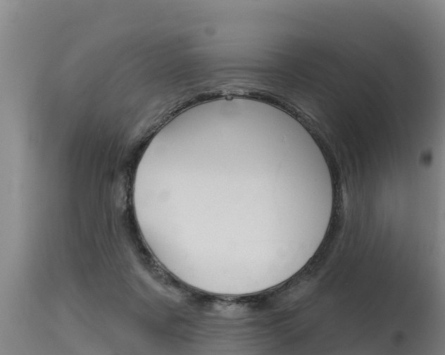 X0000115770311200911131027
