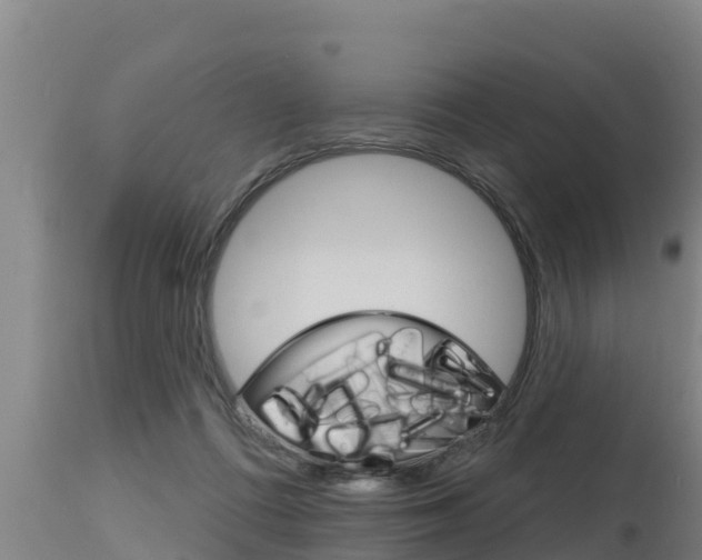 X0000115770312200911131027