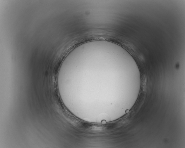 X0000115770314200911131027