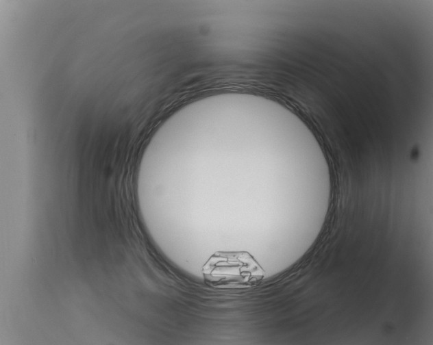 X0000115770323200911131027