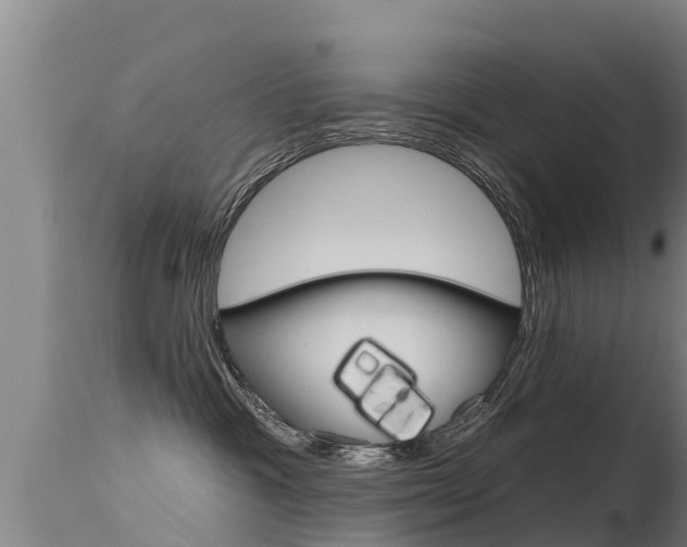 X0000115770333200911131027