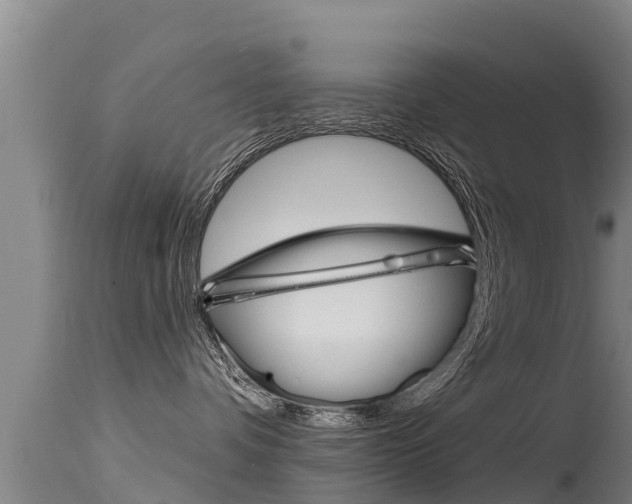 X0000115770336200911131027