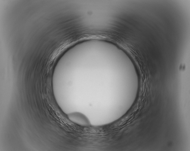 X0000115770337200911131026