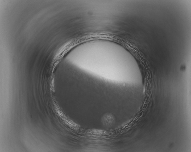 X0000115770339200911131026