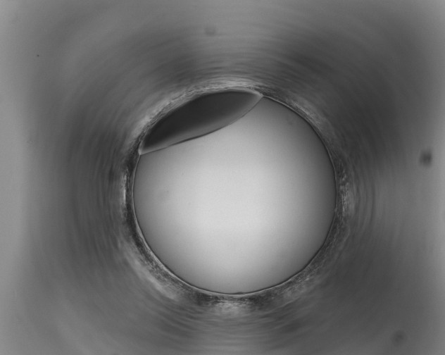 X0000115770350200911131026