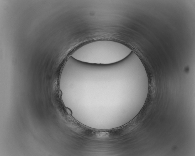 X0000115770355200911131026