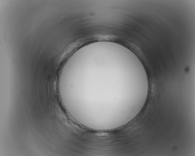 X0000115770357200911131026