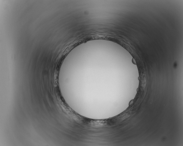 X0000115770378200911131026