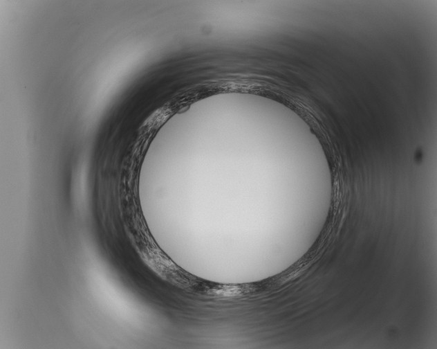 X0000115770381200911131026