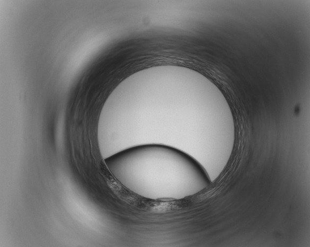 X0000115770382200911131026