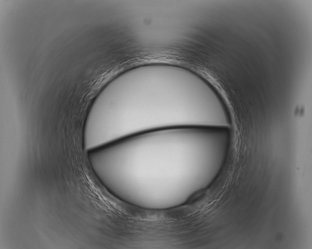 X0000115770385200911131026
