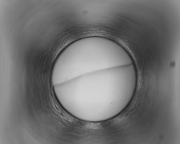 X0000115770386200911131026