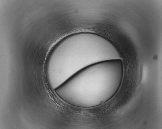 X0000115770388200911131026