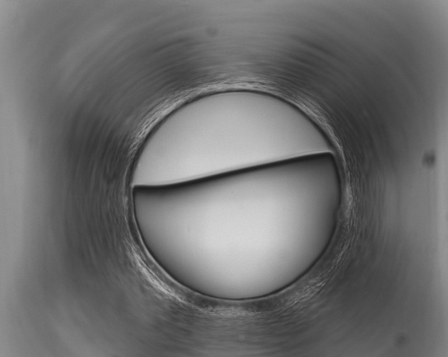 X0000115770389200911131026