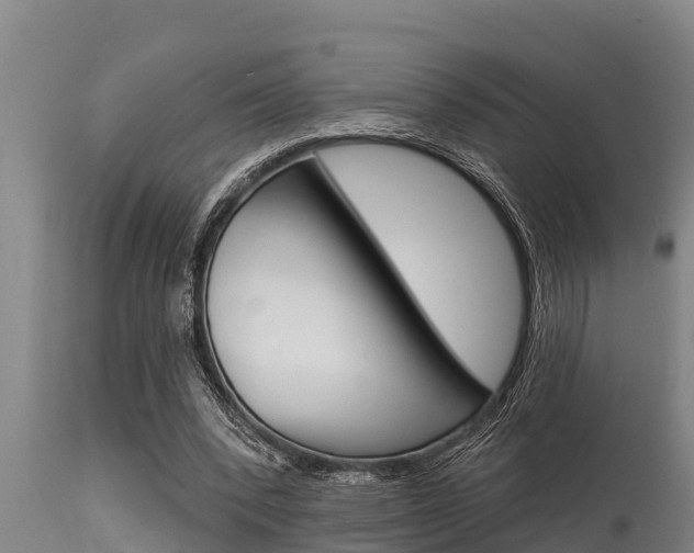 X0000115770392200911131026