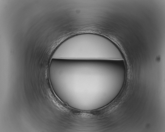 X0000115770393200911131026