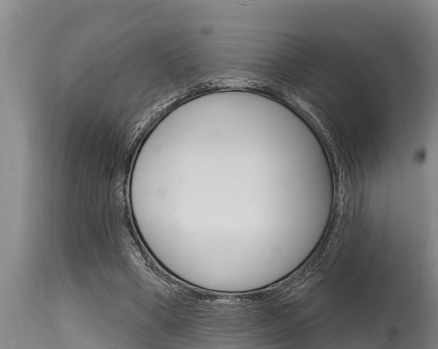 X0000115770394200911131026