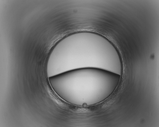 X0000115770397200911131026