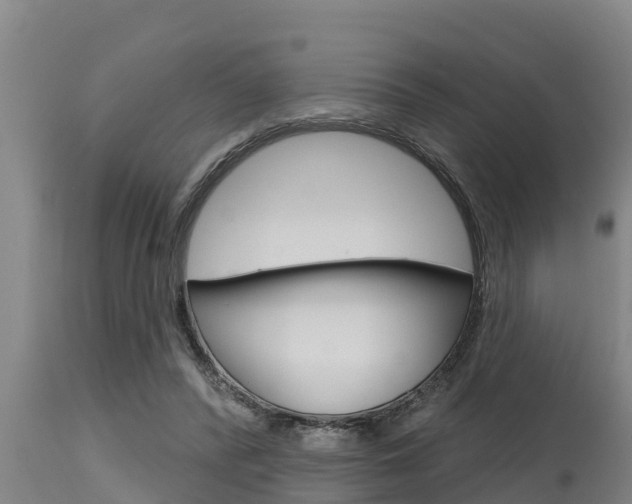 X0000115770400200911131026