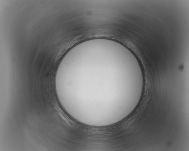 X0000115770401200911131026