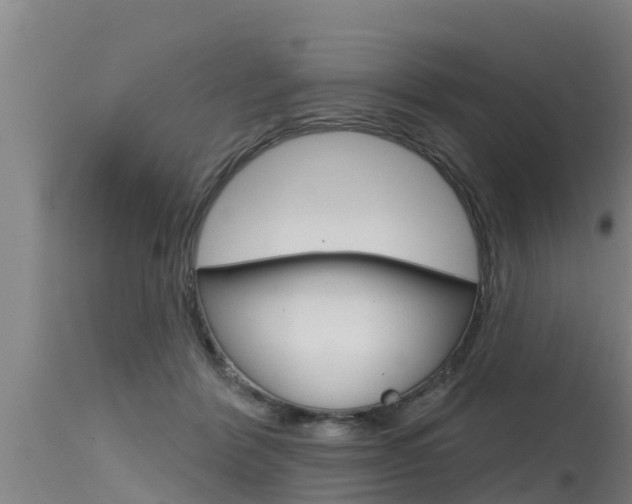 X0000115770412200911131025