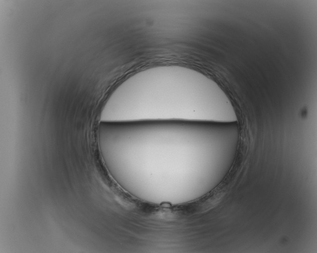 X0000115770416200911131025