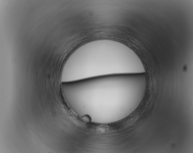 X0000115770420200911131025