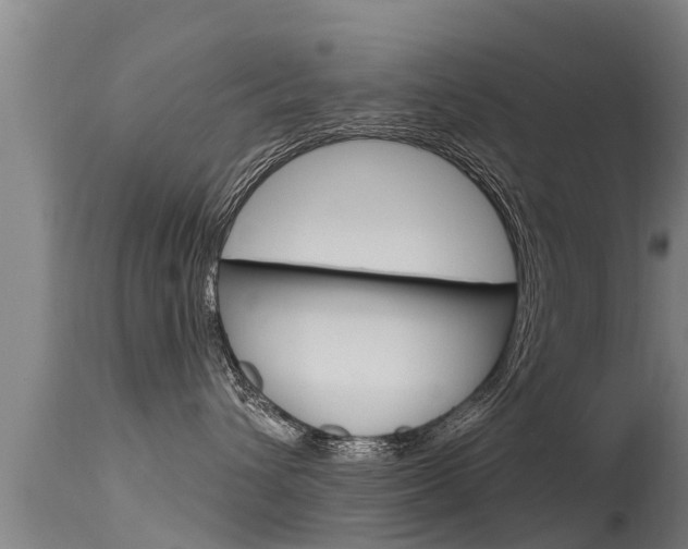 X0000115770432200911131025