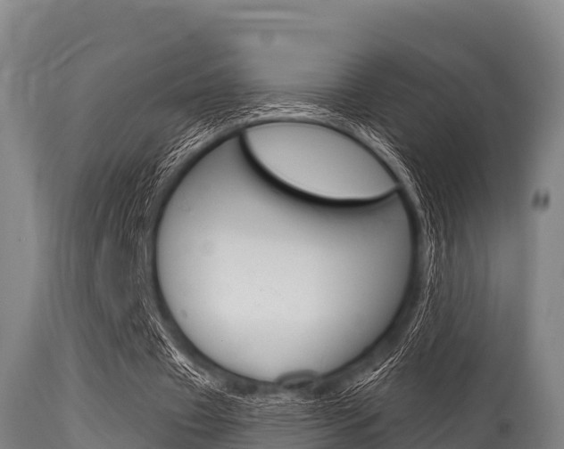 X0000115770433200911131025