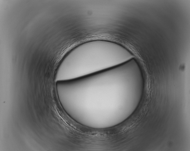 X0000115770434200911131025