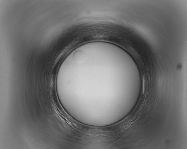 X0000115770435200911131025