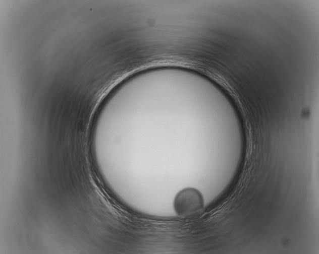 X0000115770436200911131025