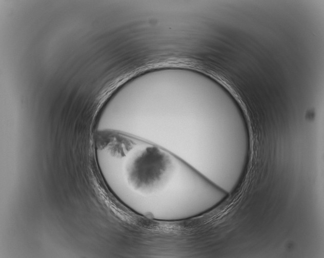 X0000115770437200911131025