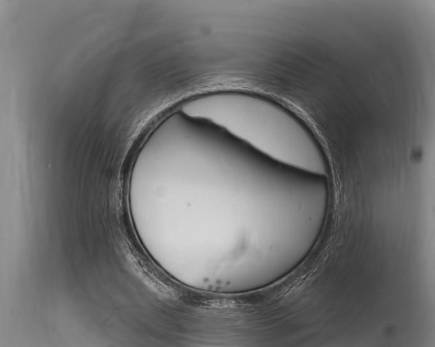 X0000115770439200911131025