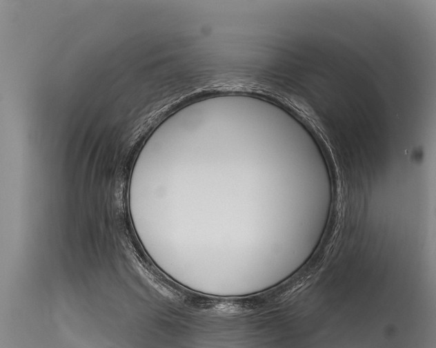 X0000115770441200911131025