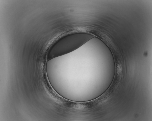 X0000115770444200911131025