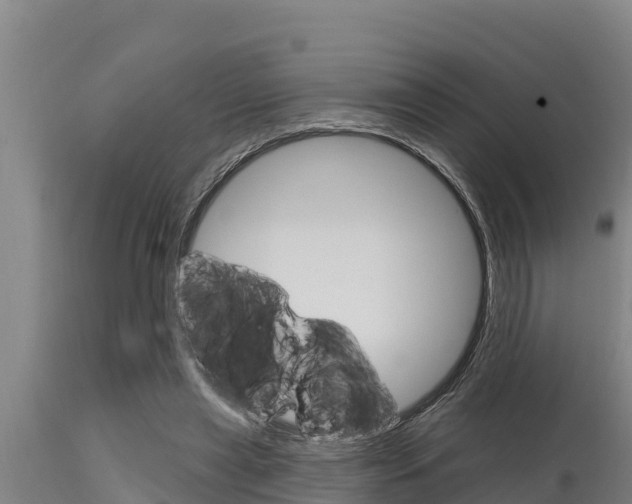 X0000115770445200911131025