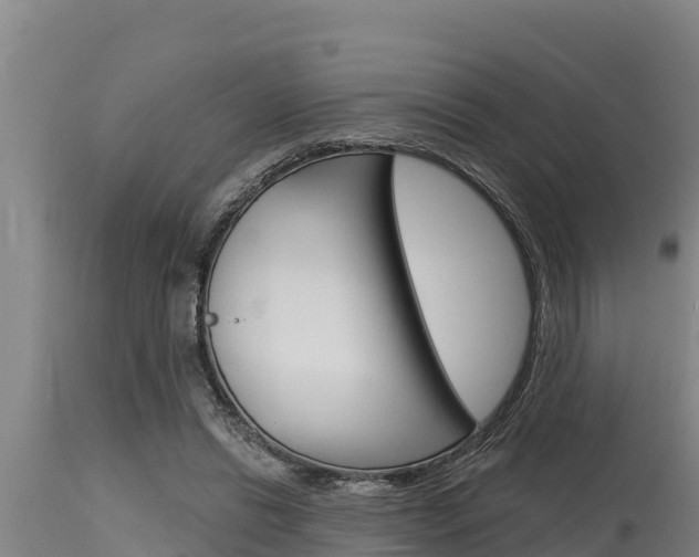 X0000115770446200911131025