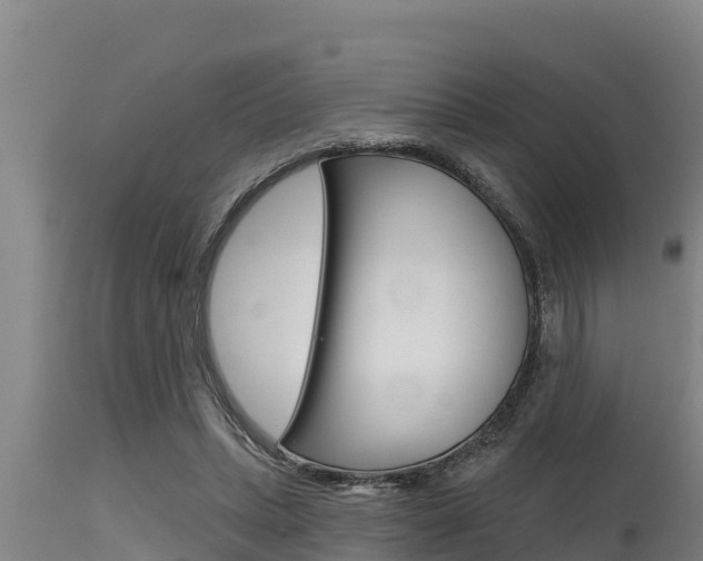X0000115770447200911131025
