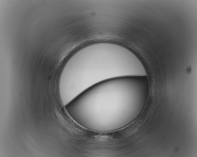 X0000115770448200911131025