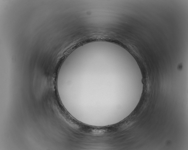 X0000115770450200911131025