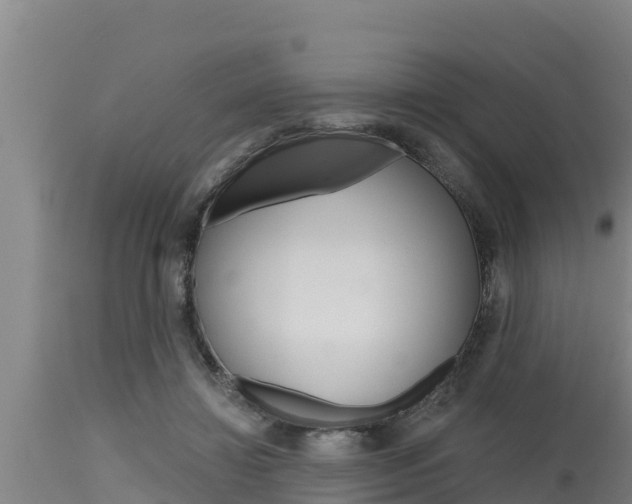 X0000115770452200911131025